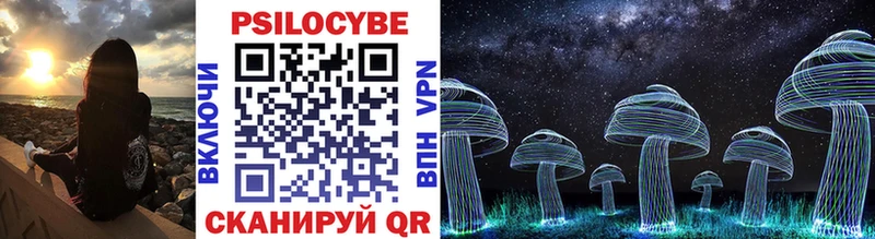 купить   Никольское  Псилоцибиновые грибы прущие грибы 